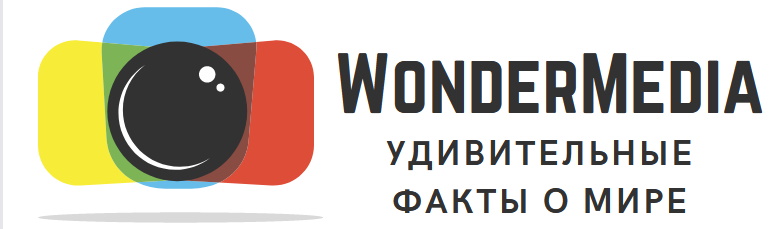 Интернет-журнал Wonder Media